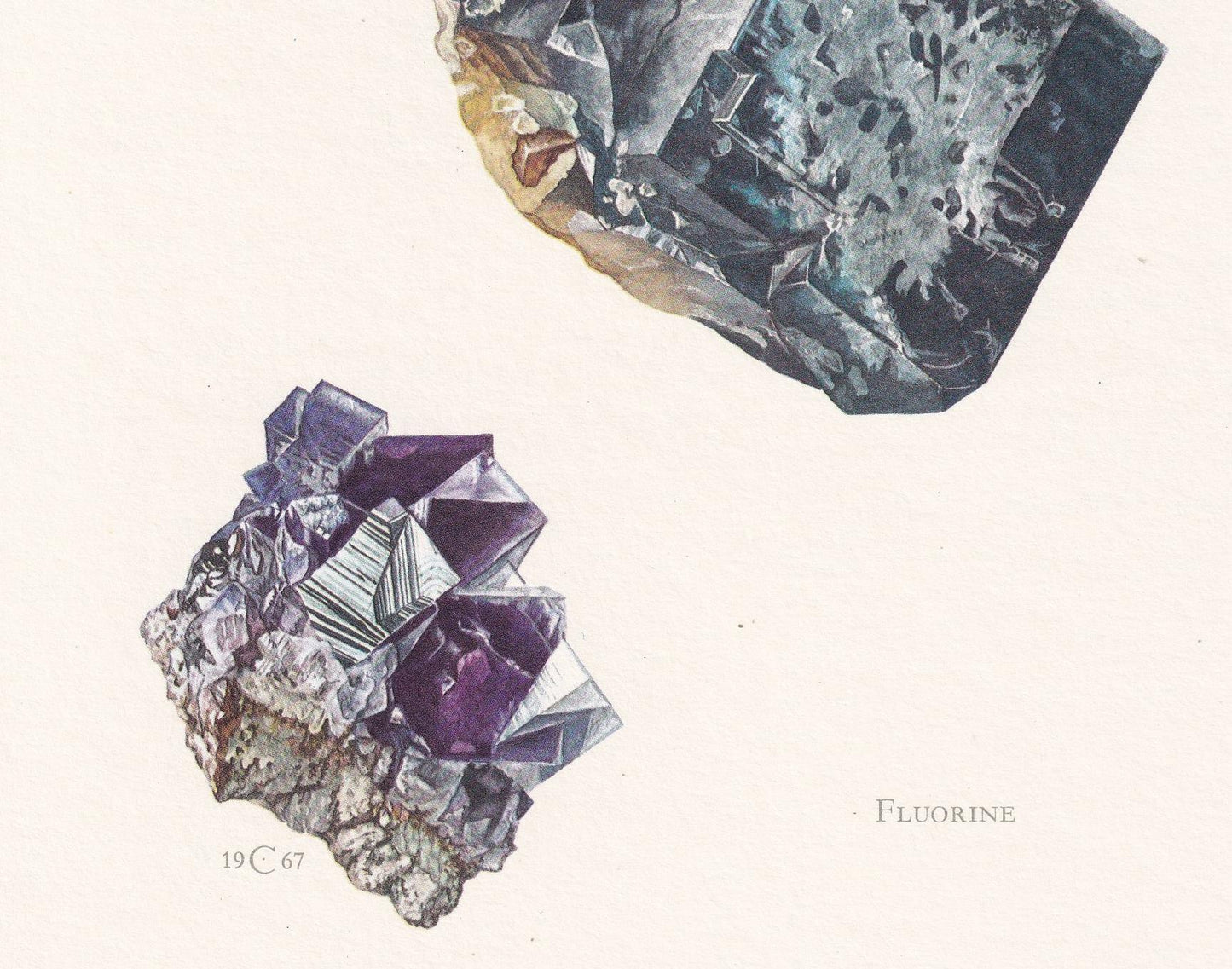 1968 FLUORITE (FLUORINE) Print - Mineral Wall Art Gift - Mineralogy Decor - Precious Stones - Vintage Rock Art - Element - 7.5 x 10.6 Inches