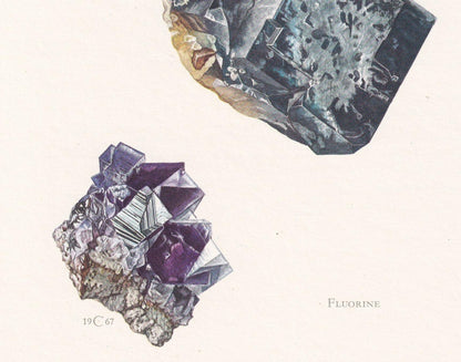 1968 FLUORITE (FLUORINE) Print - Mineral Wall Art Gift - Mineralogy Decor - Precious Stones - Vintage Rock Art - Element - 7.5 x 10.6 Inches