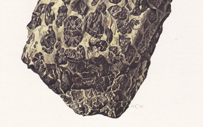 1968 CHROMITE Print - Mineral Wall Art Gift - Mineralogy Decor - Precious Stones - Vintage Rock Art - Element - 7.5 x 10.6 Inches