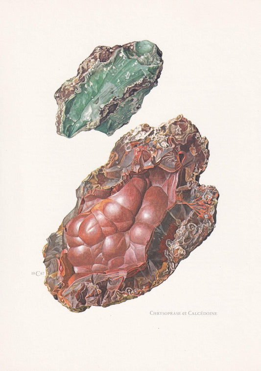 1968 CHRYSOPRASE & CHALCEDONY Print - Gemstone - Mineral Wall Art Gift - Mineralogy Decor - Precious Stones - Element - 7.5 x 10.6 Inches