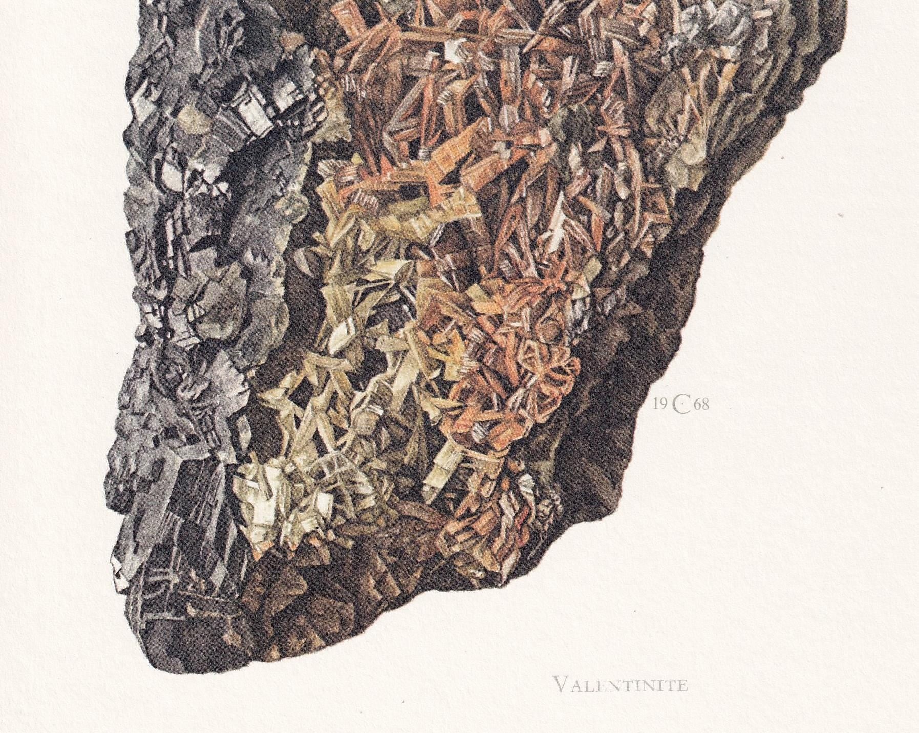 1968 VALENTINITE Print - Mineral Wall Art Gift - Mineralogy Decor - Precious Stones - Vintage Rock Art - Element - 7.5 x 10.6 Inches
