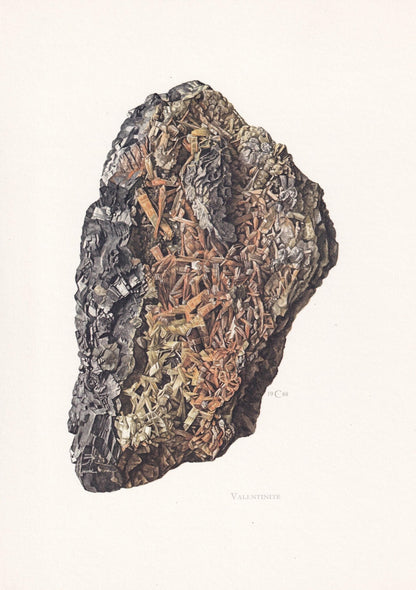 1968 VALENTINITE Print - Mineral Wall Art Gift - Mineralogy Decor - Precious Stones - Vintage Rock Art - Element - 7.5 x 10.6 Inches