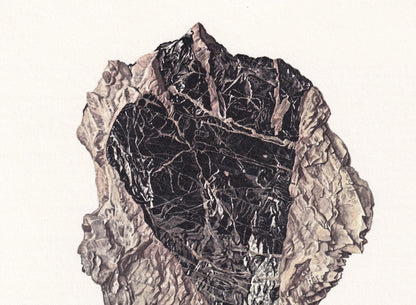 1968 EUXENITE Print - Mineral Wall Art Gift - Mineralogy Decor - Precious Stones - Vintage Rock Art - Element - 7.5 x 10.6 Inches