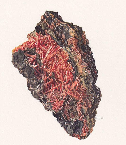 1968 CROCOITE Print - Mineral Wall Art Gift - Mineralogy Decor - Precious Stones - Vintage Rock Art - Element - 7.5 x 10.6 In