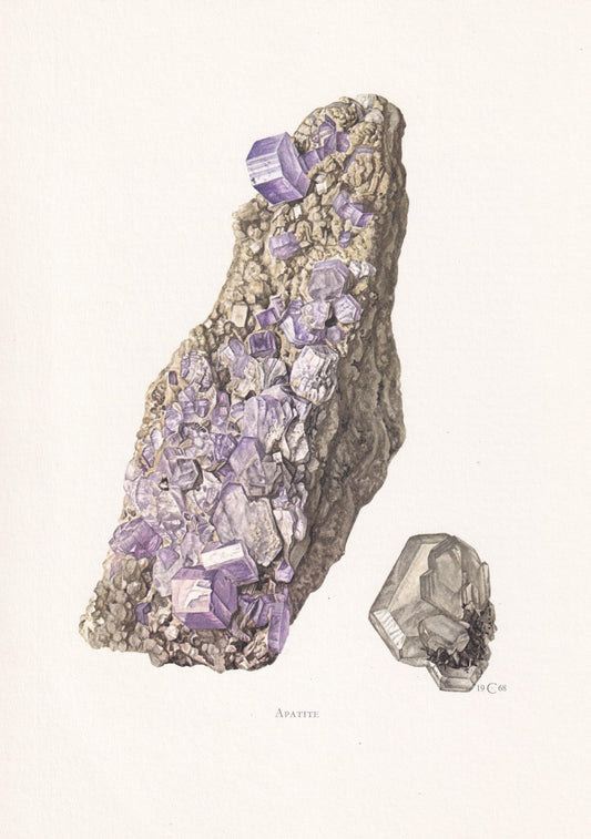1968 APATITE Print - Mineral Wall Art Gift - Mineralogy Decor - Precious Stones - Vintage Rock Art - Element - 7.5 x 10.6 Inches