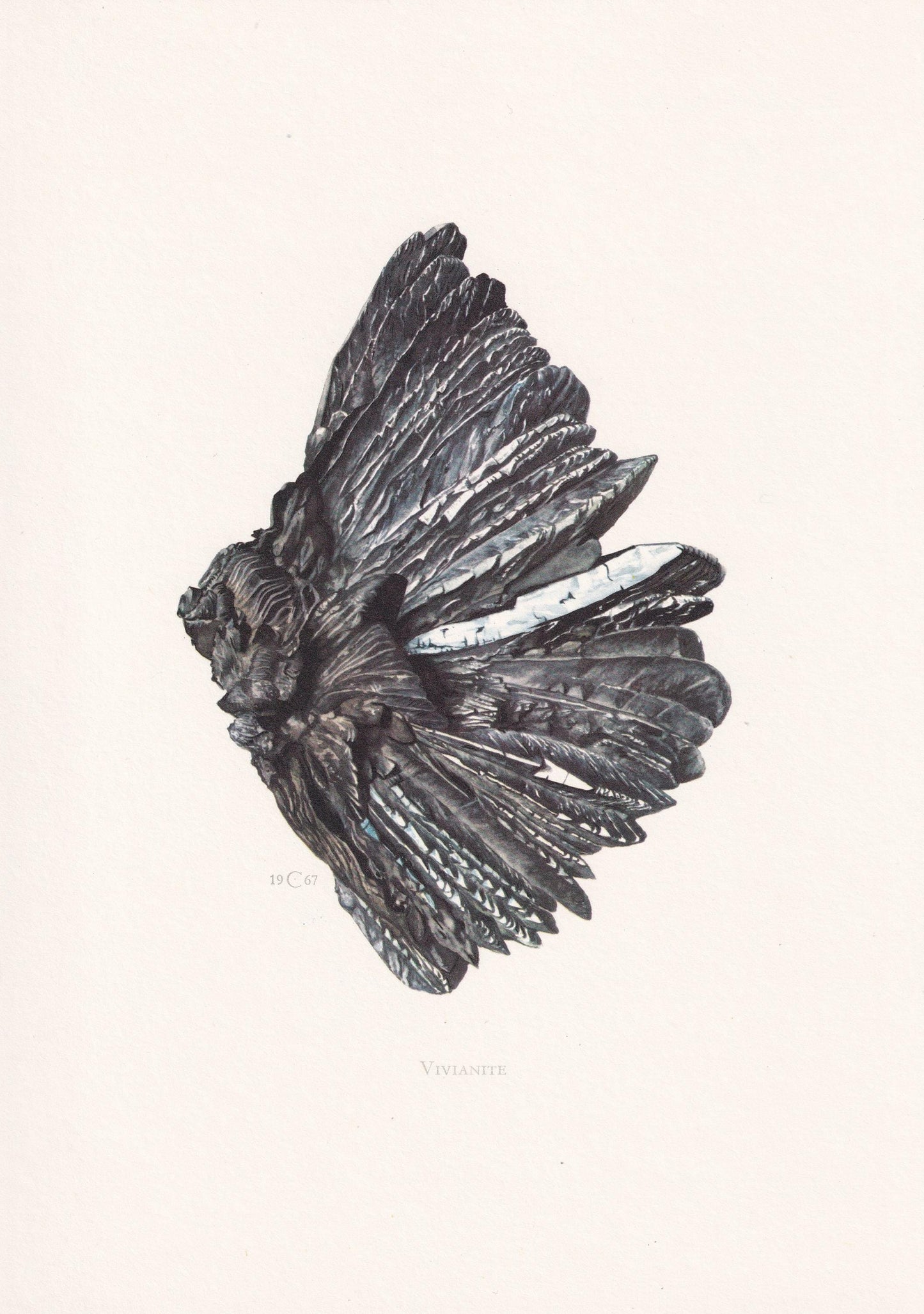 1968 VIVIANITE Print - Mineral Wall Art Gift - Mineralogy Decor - Precious Stones - Vintage Rock Art - Element - 7.5 x 10.6 I