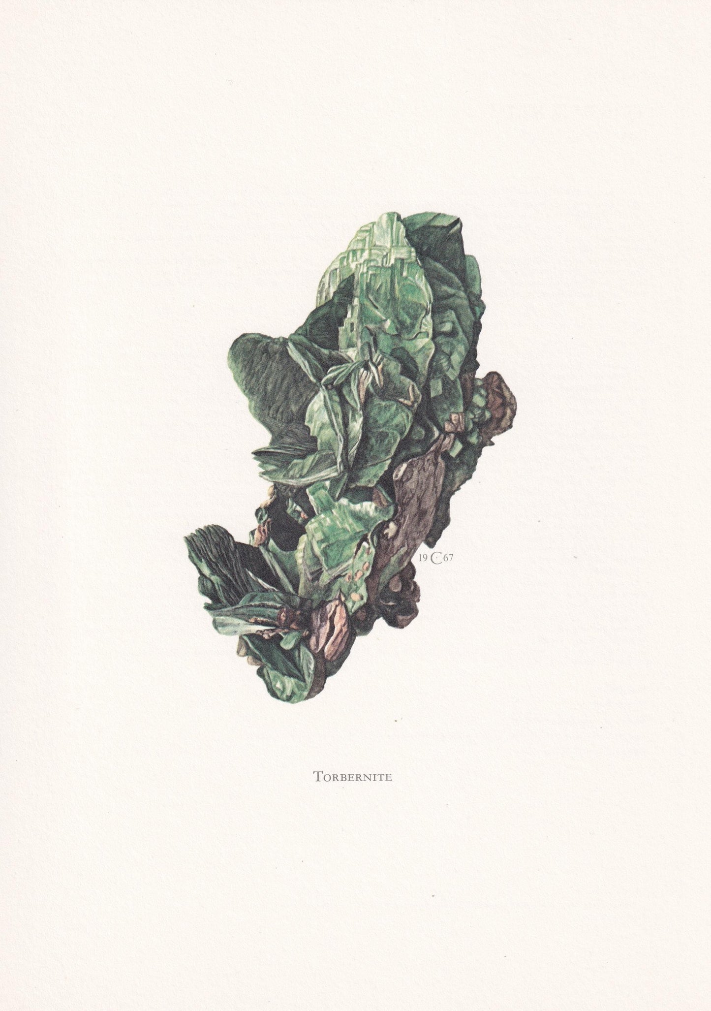 1968 TORBERNITE Print - Mineral Wall Art Gift - Mineralogy Decor - Precious Stones - Vintage Rock Art - Element - 7.5 x 10.6 