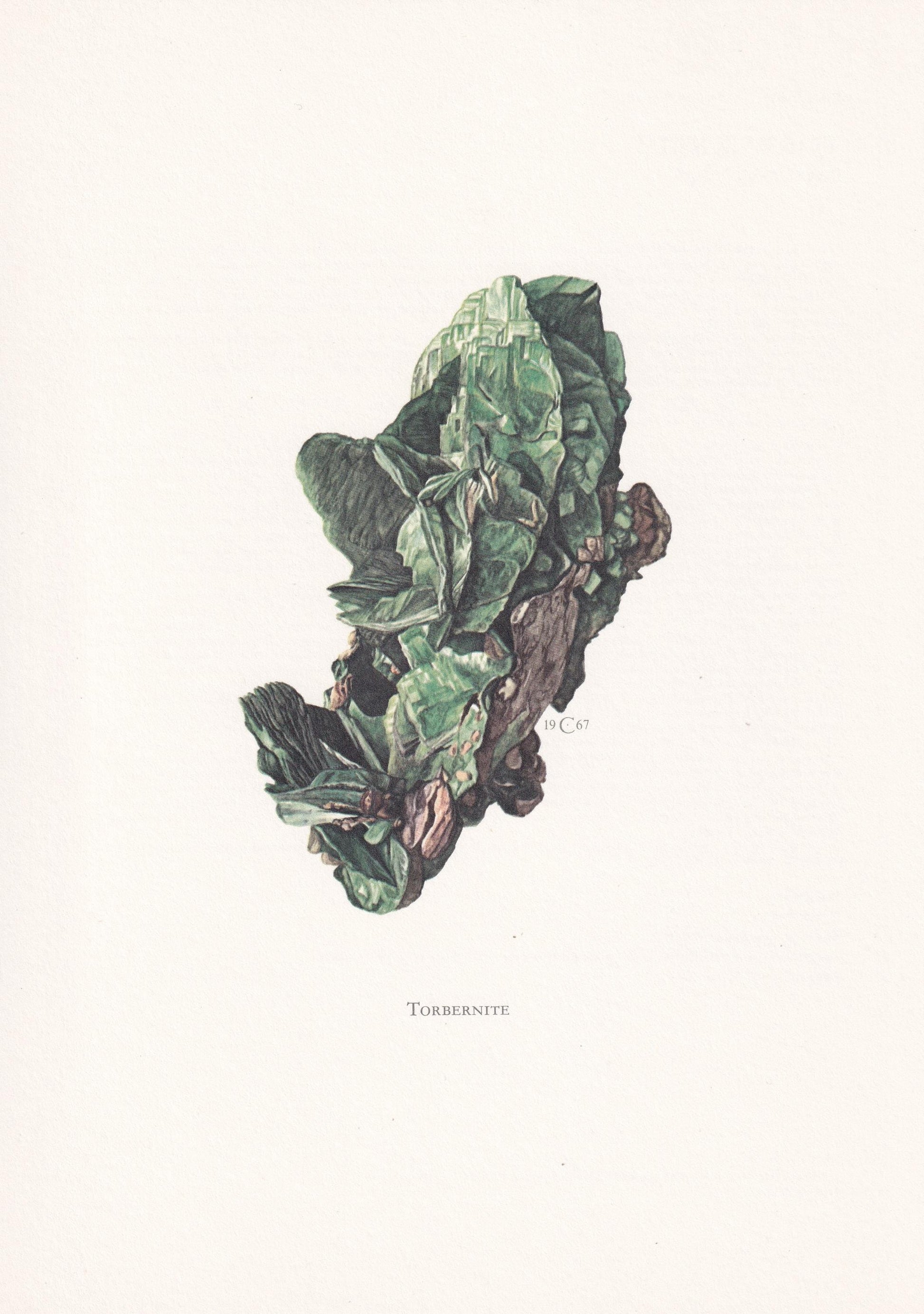 1968 TORBERNITE Print - Mineral Wall Art Gift - Mineralogy Decor - Precious Stones - Vintage Rock Art - Element - 7.5 x 10.6 