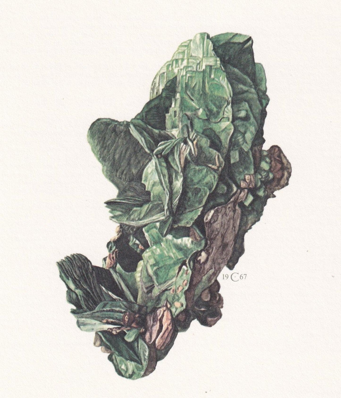 1968 TORBERNITE Print - Mineral Wall Art Gift - Mineralogy Decor - Precious Stones - Vintage Rock Art - Element - 7.5 x 10.6 