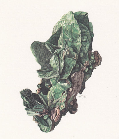 1968 TORBERNITE Print - Mineral Wall Art Gift - Mineralogy Decor - Precious Stones - Vintage Rock Art - Element - 7.5 x 10.6 