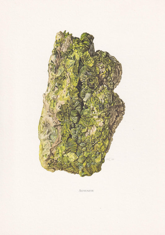 1968 AUTUNITE Print - Mineral Wall Art Gift - Mineralogy Decor - Precious Stones - Vintage Rock Art - Element - 7.5 x 10.6 Inches