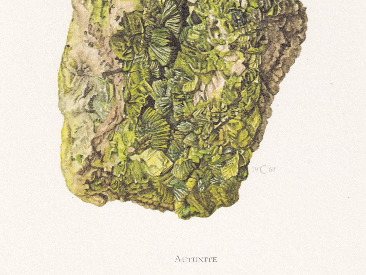 1968 AUTUNITE Print - Mineral Wall Art Gift - Mineralogy Decor - Precious Stones - Vintage Rock Art - Element - 7.5 x 10.6 Inches