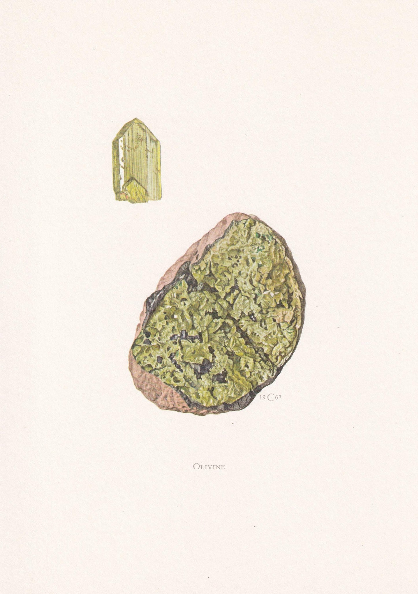 1968 OLIVINE Print - Mineral Wall Art Gift - Mineralogy Decor - Precious Stones - Vintage Rock Art - Element - 7.5 x 10.6 Inc