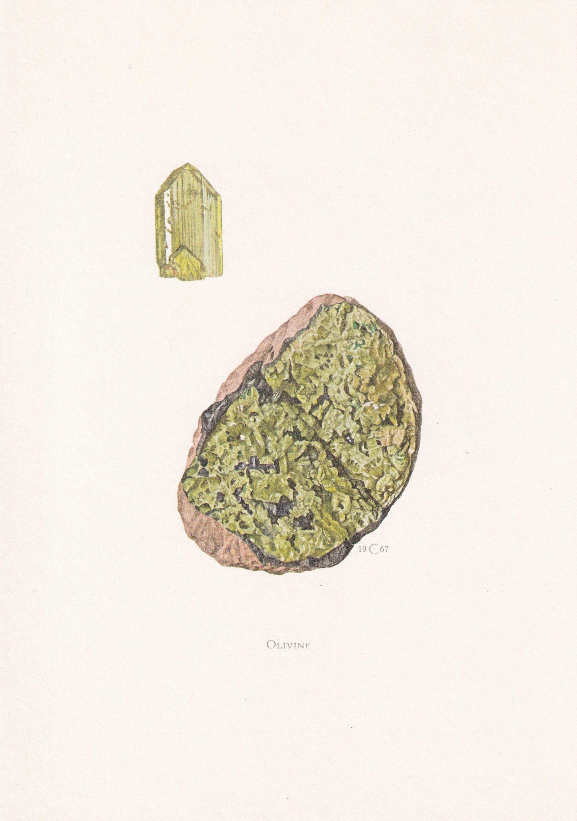 1968 OLIVINE Print - Mineral Wall Art Gift - Mineralogy Decor - Precious Stones - Vintage Rock Art - Element - 7.5 x 10.6 Inc