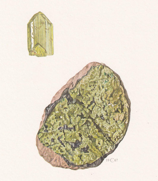 1968 OLIVINE Print - Mineral Wall Art Gift - Mineralogy Decor - Precious Stones - Vintage Rock Art - Element - 7.5 x 10.6 Inc