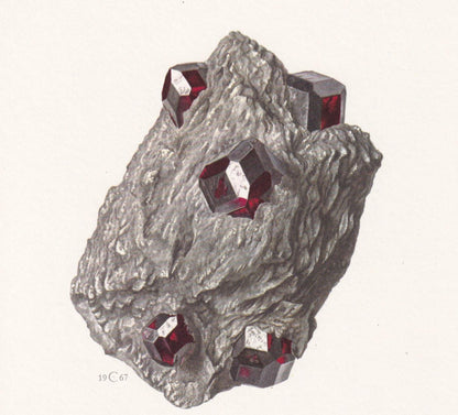 1968 ALMANDITE Print - Mineral Wall Art Gift - Mineralogy Decor - Precious Stones - Vintage Rock Art - Element - 7.5 x 10.6 I