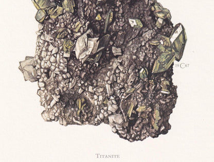 1968 TITANITE (SPHENE) Print - Mineral Wall Art Gift - Mineralogy Decor - Precious Stones - Vintage Rock Art - Element - 7.5 x 10.6 Inches