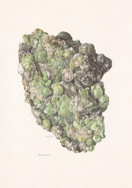 1968 PREHNITE Print - Mineral Wall Art Gift - Mineralogy Decor - Precious Stones - Vintage Rock Art - Element - 7.5 x 10.6 Inches