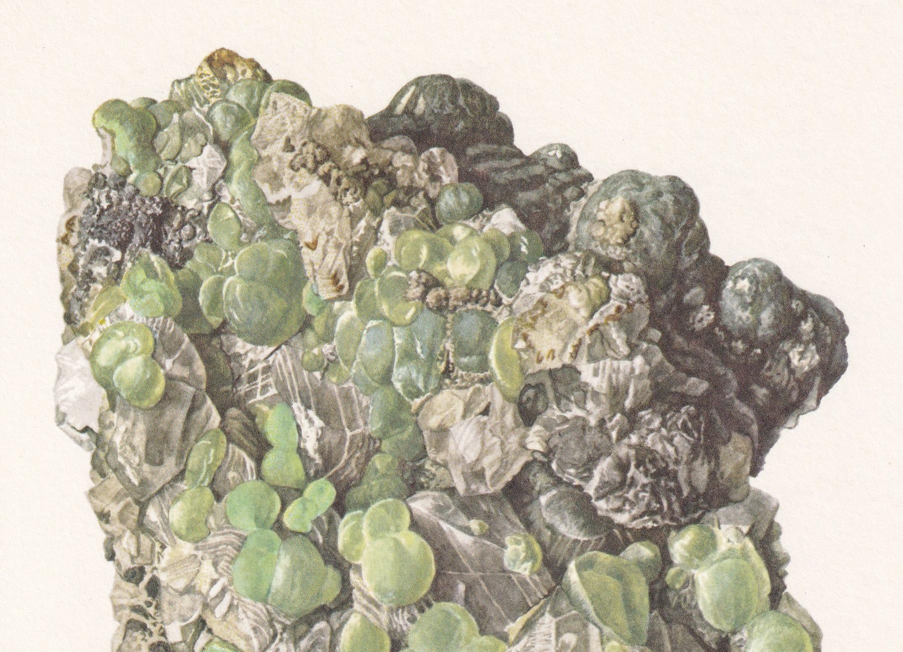 1968 PREHNITE Print - Mineral Wall Art Gift - Mineralogy Decor - Precious Stones - Vintage Rock Art - Element - 7.5 x 10.6 Inches