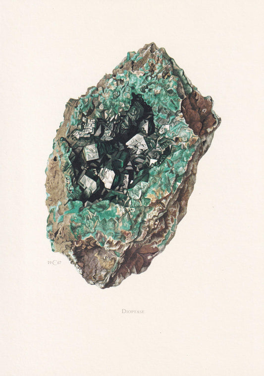 1968 DIOPTASE Print - Mineral Wall Art Gift - Mineralogy Decor - Precious Stones - Vintage Rock Art - Element - 7.5 x 10.6 Inches