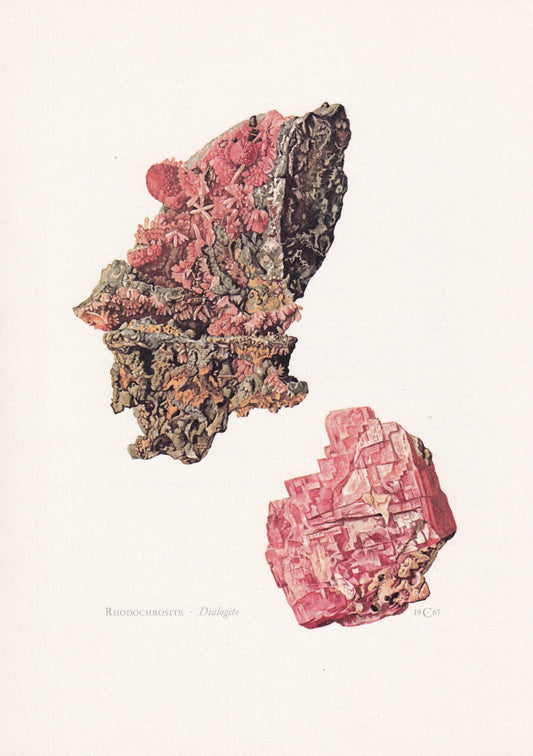 1968 RHODOCHROSITE Print - Mineral Wall Art Gift - Mineralogy Decor - Precious Stones - Vintage Rock Art - Element - 7.5 x 10.6 Inches