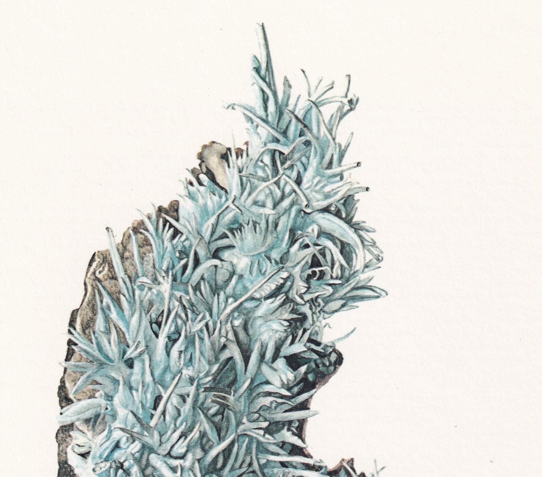 1968 ARAGONITE Print - Mineral Wall Art Gift - Mineralogy Decor - Precious Stones - Vintage Rock Art - Element - 7.5 x 10.6 Inches