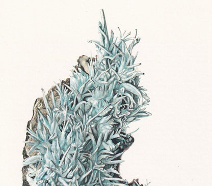 1968 ARAGONITE Print - Mineral Wall Art Gift - Mineralogy Decor - Precious Stones - Vintage Rock Art - Element - 7.5 x 10.6 Inches