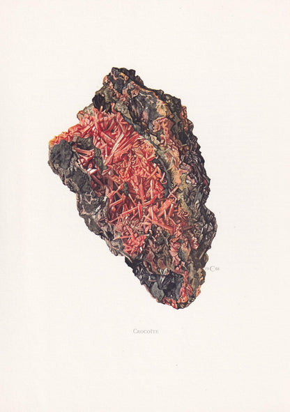 1968 CROCOITE Print - Mineral Wall Art Gift - Mineralogy Decor - Precious Stones - Vintage Rock Art - Element - 7.5 x 10.6 In