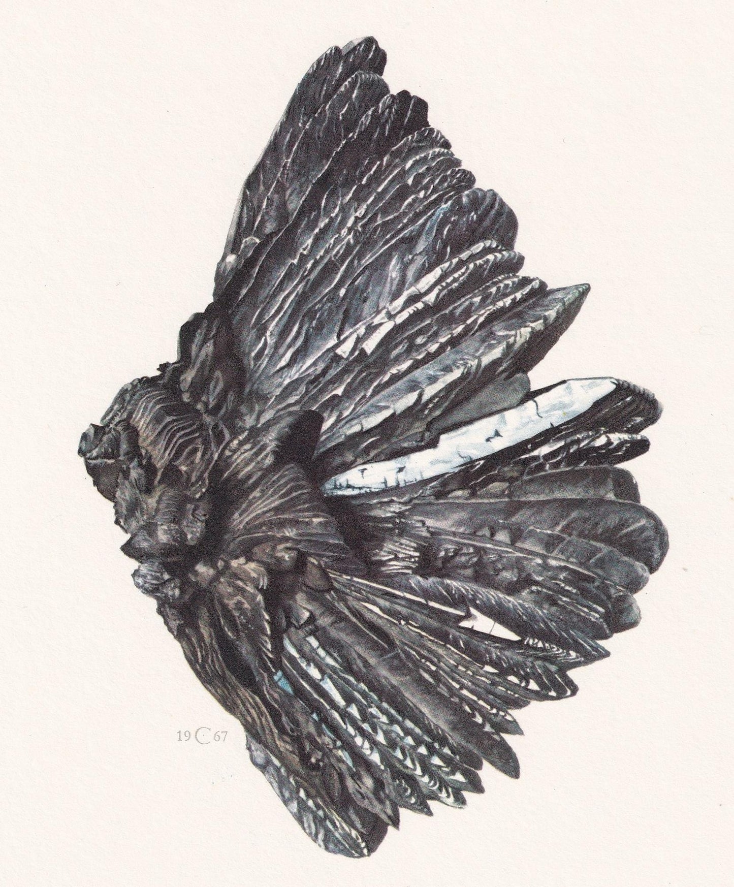 1968 VIVIANITE Print - Mineral Wall Art Gift - Mineralogy Decor - Precious Stones - Vintage Rock Art - Element - 7.5 x 10.6 I