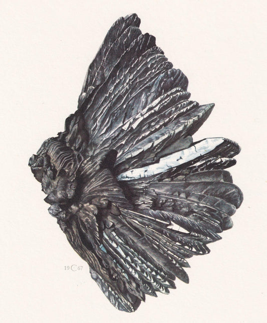 1968 VIVIANITE Print - Mineral Wall Art Gift - Mineralogy Decor - Precious Stones - Vintage Rock Art - Element - 7.5 x 10.6 I