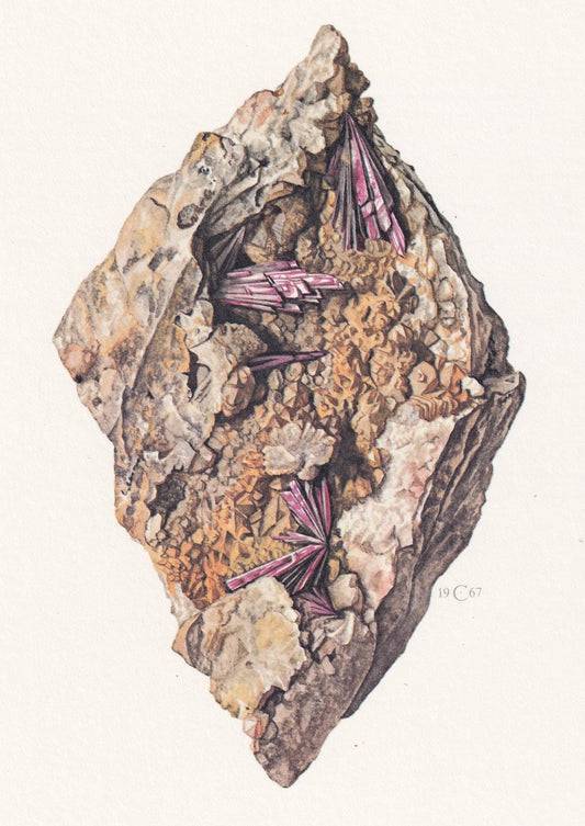 1968 ERYTHITE Print - Mineral Wall Art Gift - Mineralogy Decor - Precious Stones - Vintage Rock Art - Element - 7.5 x 10.6 In