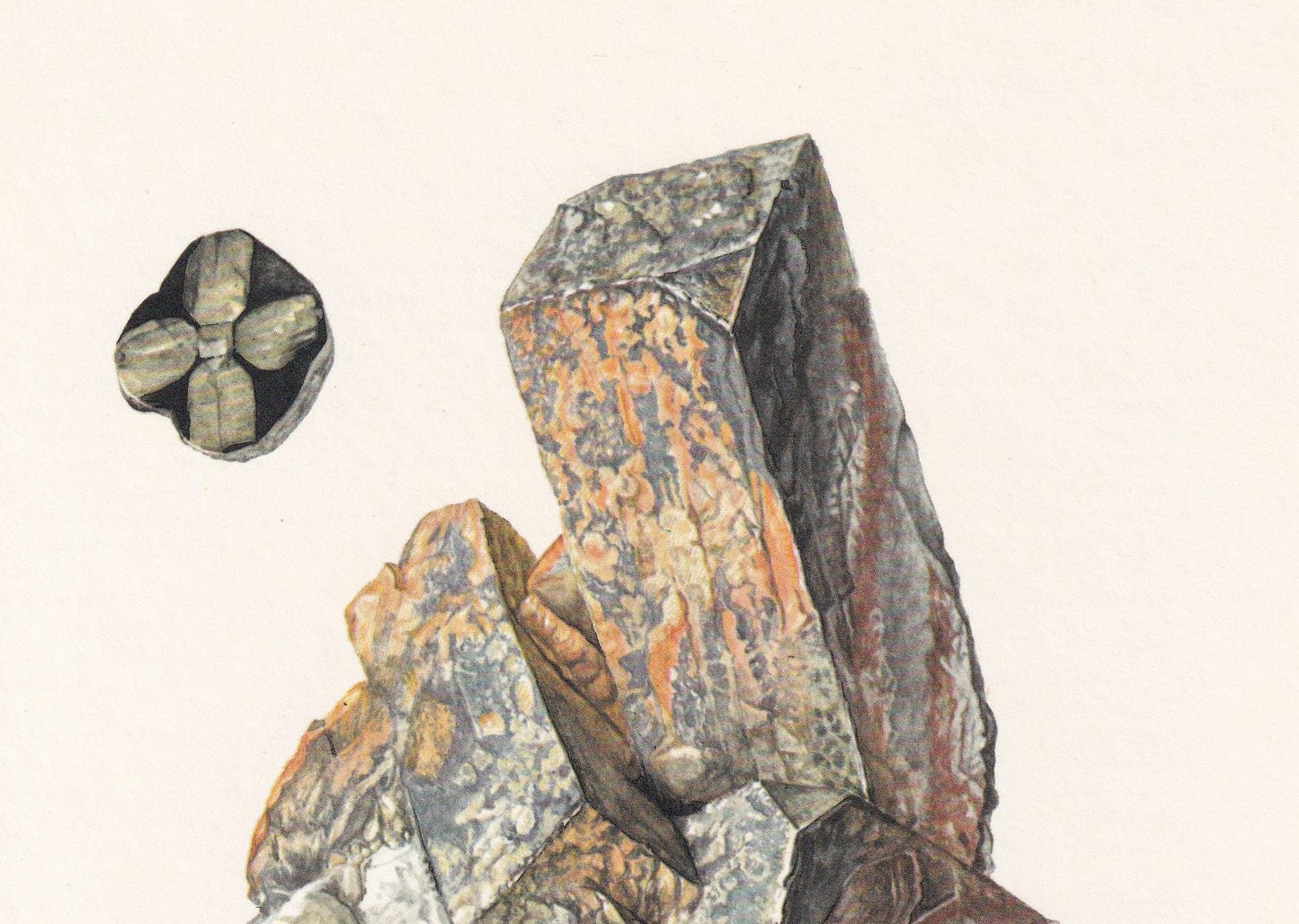 1968 ANDALUSITE Print - Mineral Wall Art Gift - Mineralogy Decor - Precious Stones - Vintage Rock Art - Element - 7.5 x 10.6 Inches