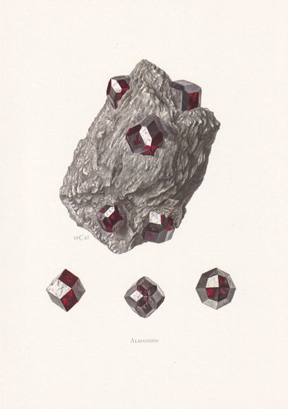 1968 ALMANDITE Print - Mineral Wall Art Gift - Mineralogy Decor - Precious Stones - Vintage Rock Art - Element - 7.5 x 10.6 I