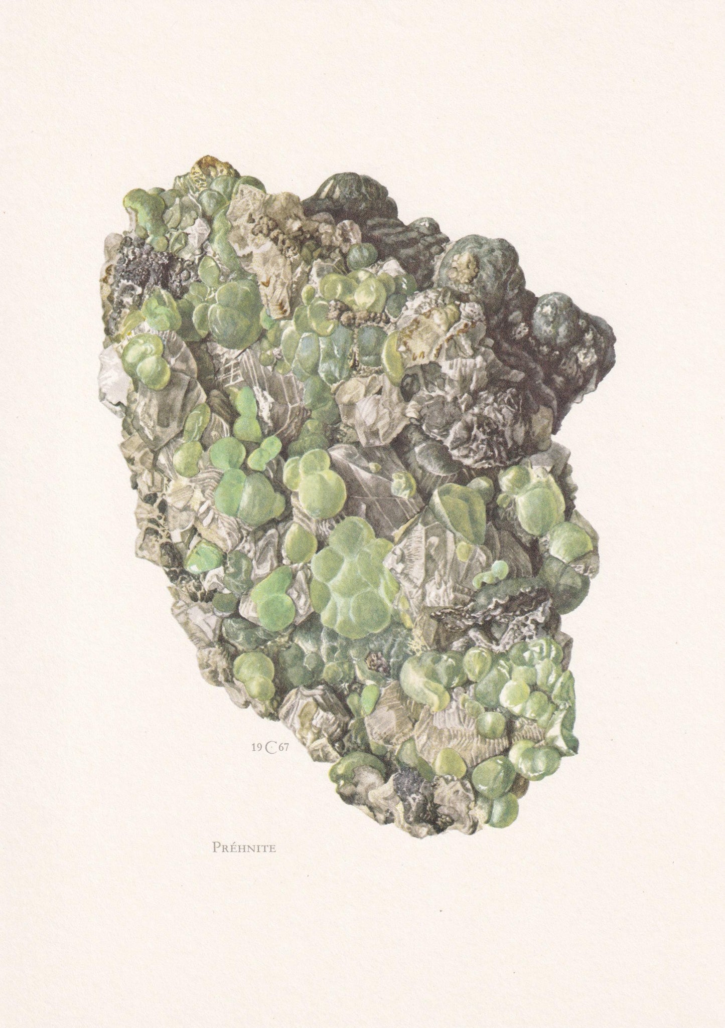 1968 PREHNITE Print - Mineral Wall Art Gift - Mineralogy Decor - Precious Stones - Vintage Rock Art - Element - 7.5 x 10.6 Inches