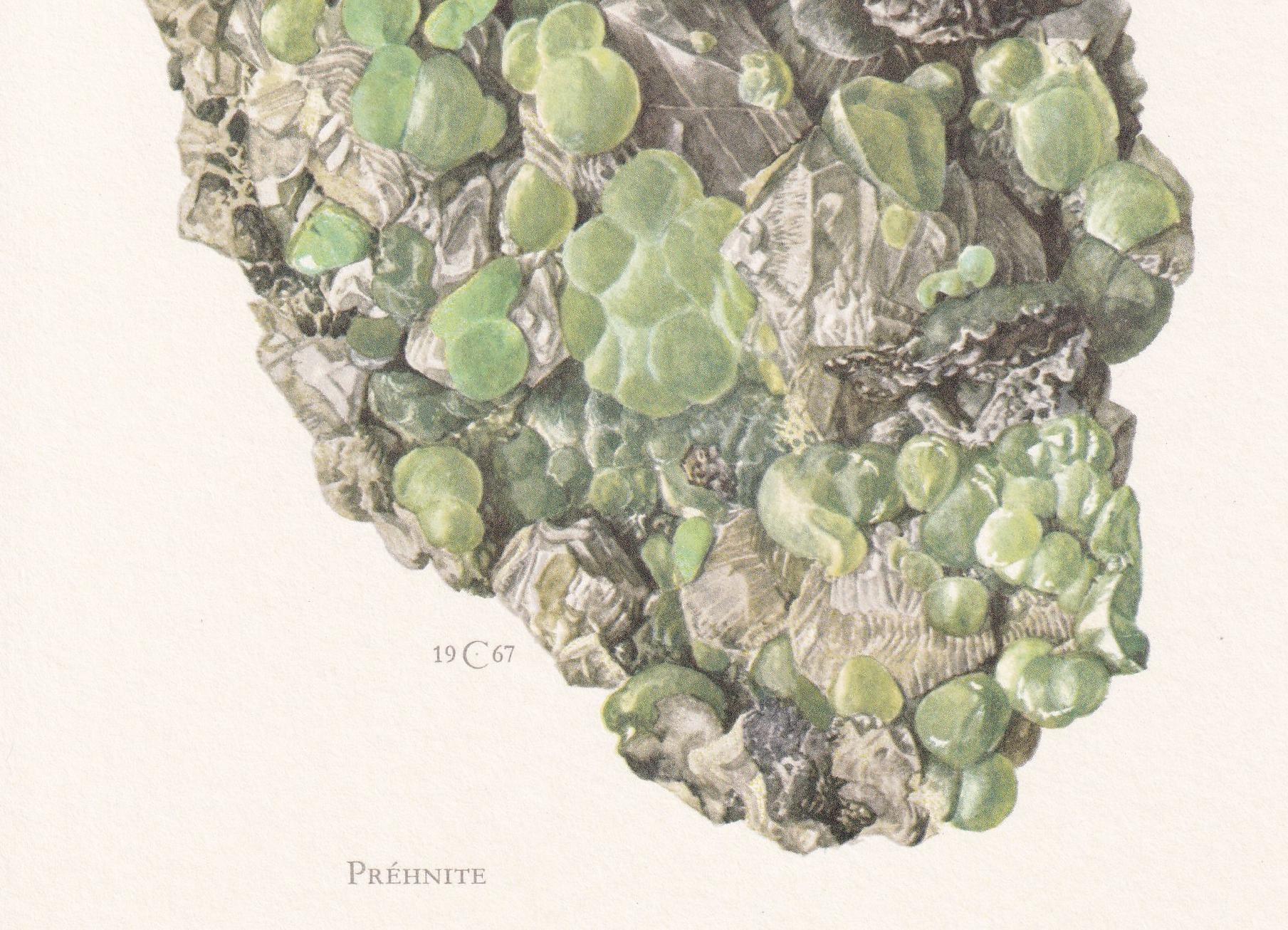 1968 PREHNITE Print - Mineral Wall Art Gift - Mineralogy Decor - Precious Stones - Vintage Rock Art - Element - 7.5 x 10.6 Inches