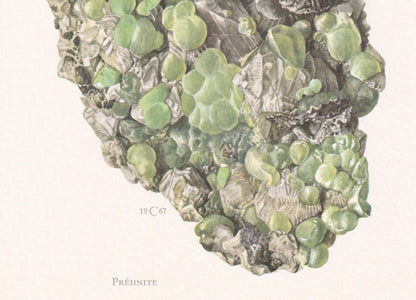 1968 PREHNITE Print - Mineral Wall Art Gift - Mineralogy Decor - Precious Stones - Vintage Rock Art - Element - 7.5 x 10.6 Inches