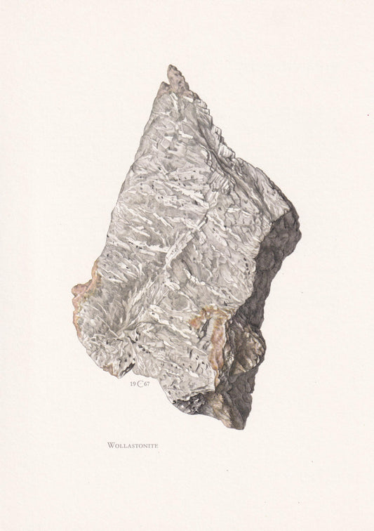 1968 WALLASTONITE Print - Mineral Wall Art Gift - Mineralogy Decor - Precious Stones - Vintage Rock Art - Element - 7.5 x 10.6 Inches