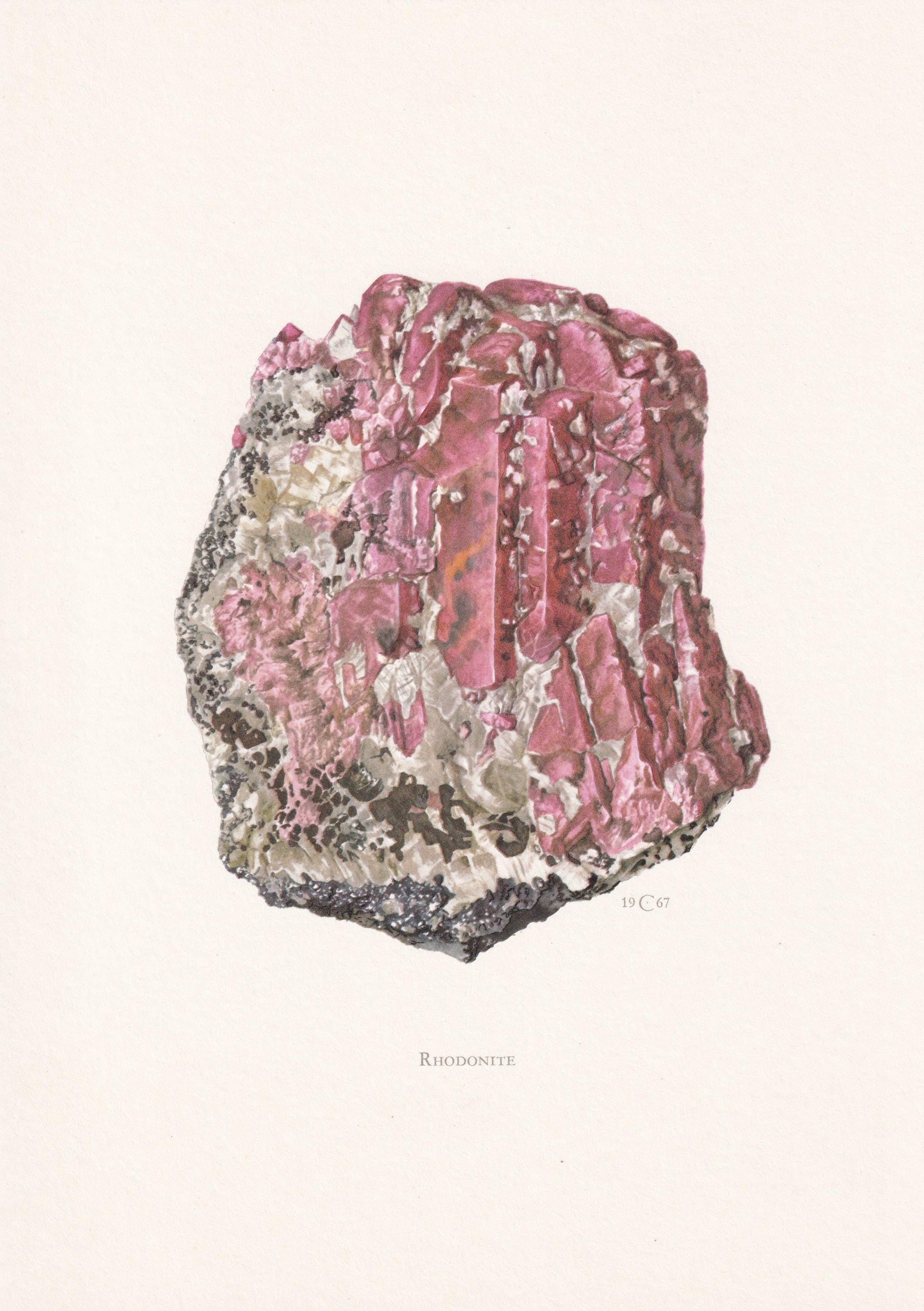 1968 RHODONITE Print - Mineral Wall Art Gift - Mineralogy Decor - Precious Stones - Vintage Rock Art - Element - 7.5 x 10.6 I