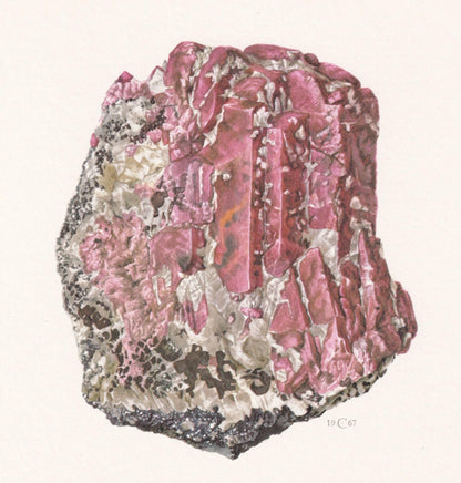 1968 RHODONITE Print - Mineral Wall Art Gift - Mineralogy Decor - Precious Stones - Vintage Rock Art - Element - 7.5 x 10.6 I