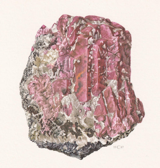 1968 RHODONITE Print - Mineral Wall Art Gift - Mineralogy Decor - Precious Stones - Vintage Rock Art - Element - 7.5 x 10.6 I