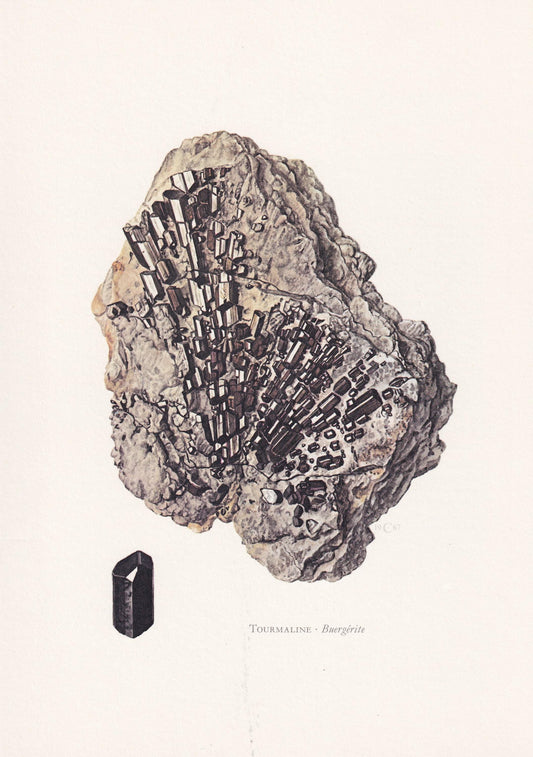 1968 TOURMALINE Print - Mineral Wall Art Gift - Mineralogy Decor - Precious Stones - Vintage Rock Art - Element - 7.5 x 10.6 Inches
