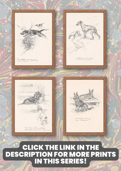 1936 BULLDOG & CAT Print - Original Antique Dog Print - Vernon Stokes - Dog Wall Art - Dog Gift - 11 x 8.4 Inches