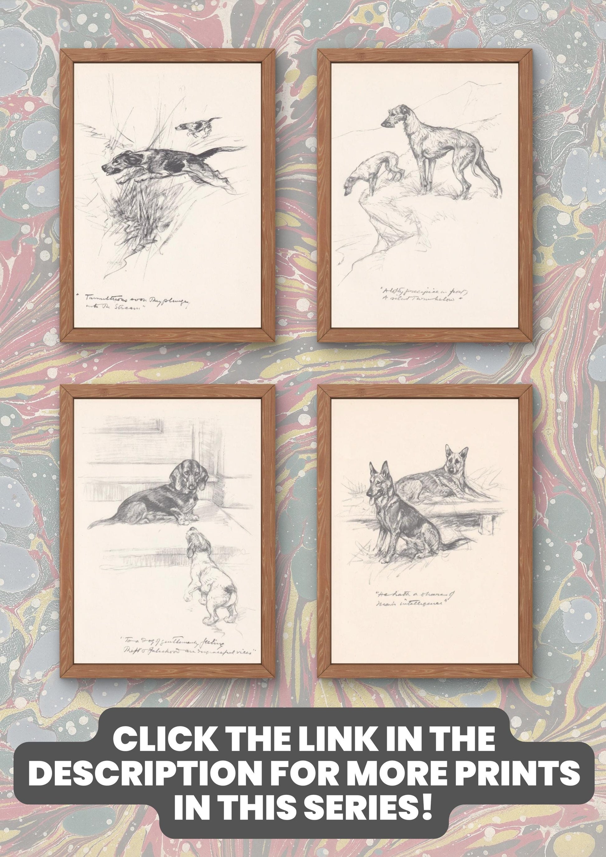 1936 GERMAN SHEPHERD DOG Print - Original Antique Dog Print - Vernon Stokes - Dog Wall Art - Dog Gift - 11 x 8.4 Inches