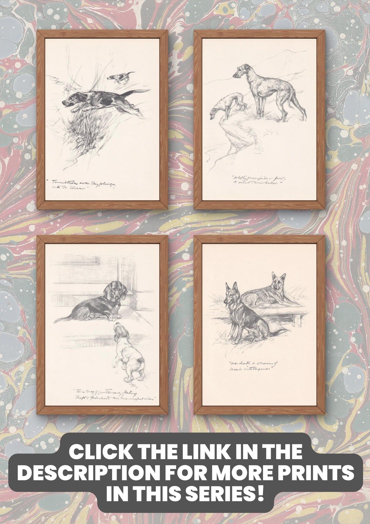 1936 SKYE TERRIER DOG Print - Original Antique Dog Print - Vernon Stokes - Dog Wall Art - Dog Gift - 11 x 8.4 Inches