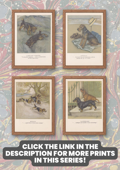 1947 FOX TERRIER DOG Print - Original Antique Dog Print - Vernon Stokes - Dog Wall Art - Dog Gift - 9.5 x 7.15 Inches