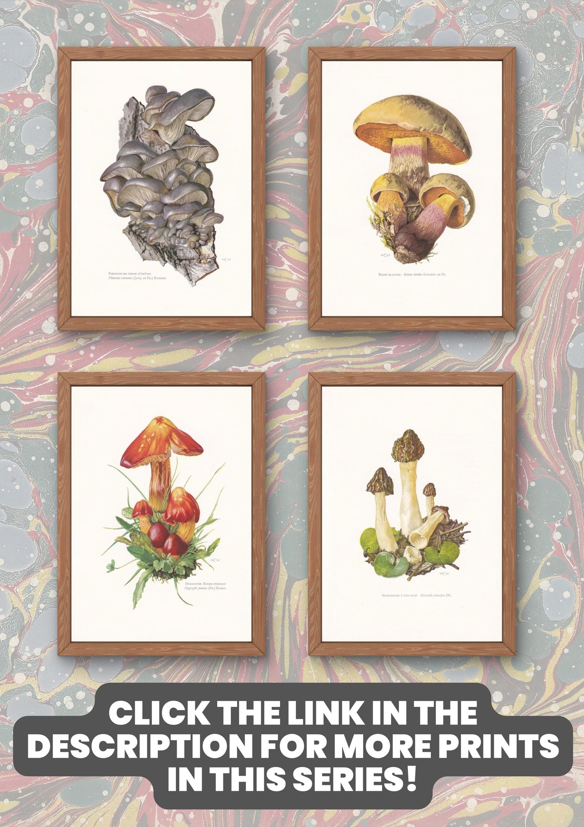 1960s JELLY FUNGI MUSHROOM Print - Original Vintage Print - Mushroom Wall Art - Cottagecore - Mushroom Decor - 7.5 x 10.6 Inches