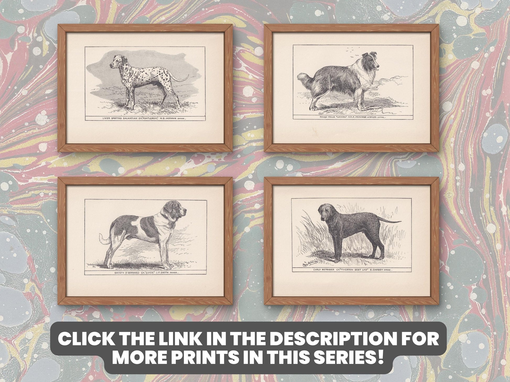 1900 OTTERHOUND DOG Print - Original Antique Dog Print - R. H. Moore - Dog Wall Art - Dog Lover - Dog Gift - 8.6 x 5.6 Inches