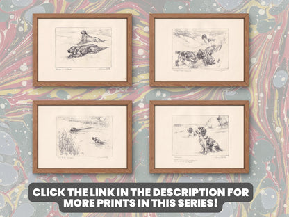 1930 FLAT-COATED RETRIEVER Dog Print - Original Antique Dog Print - Vernon Stokes - Dog Wall Art - Dog Gift - 11 x 8.25 Inches