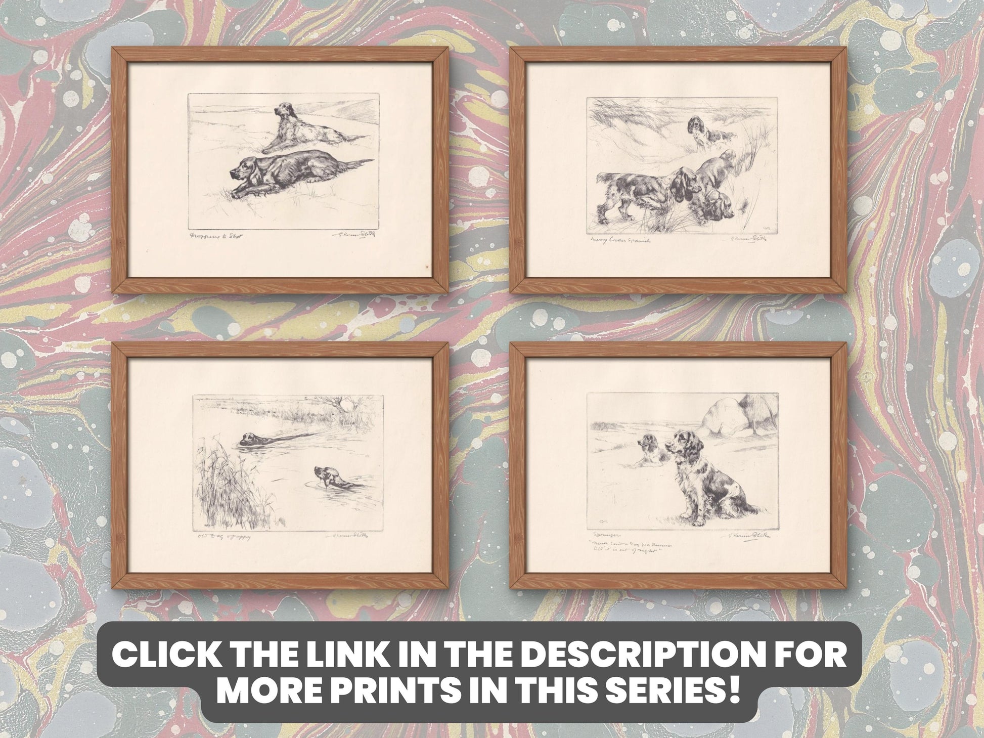 1930 POINTER DOG Print - Original Antique Dog Print - Vernon Stokes - Dog Wall Art - Dog Gift - 11 x 8.25 Inches