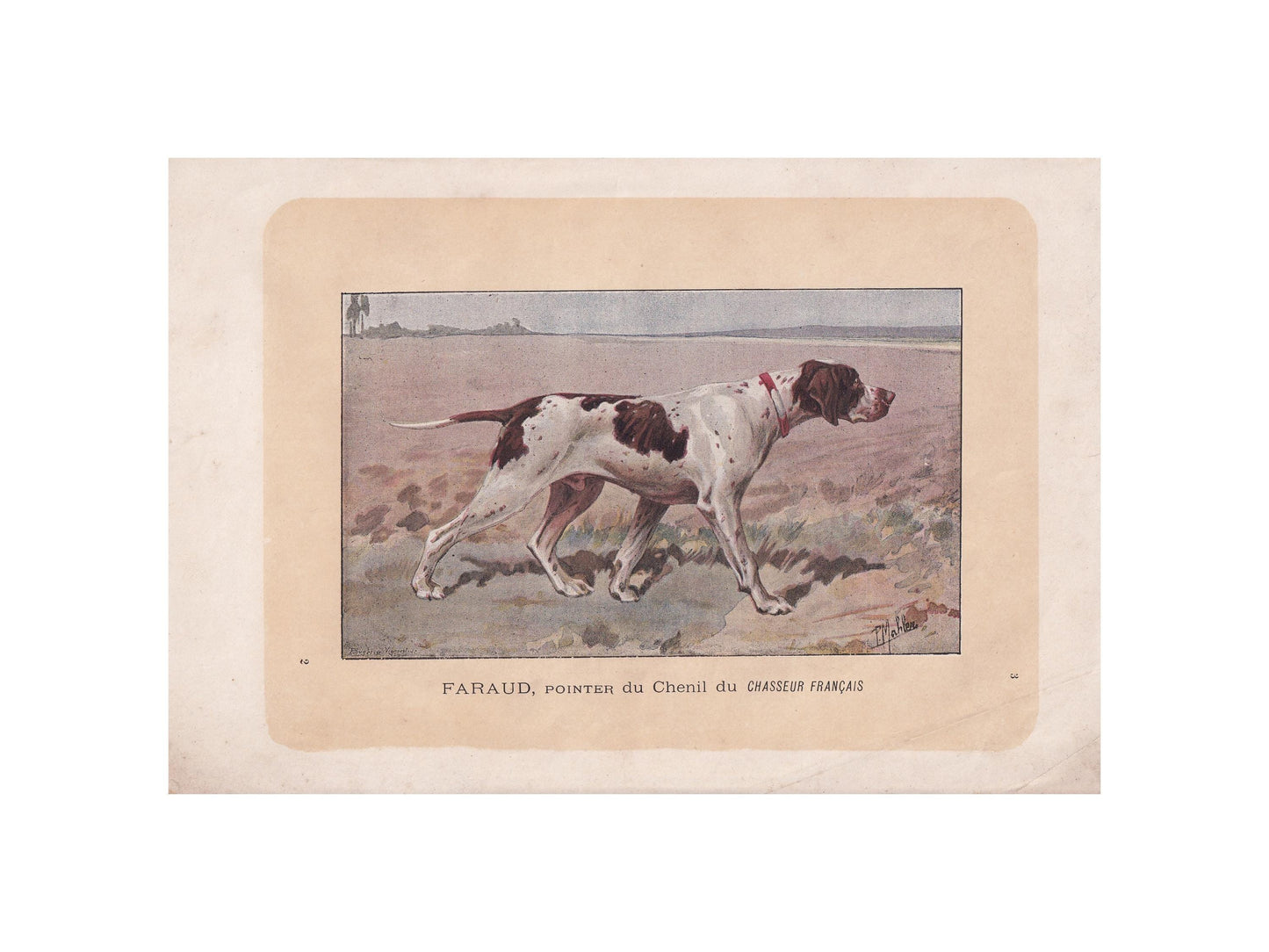 1896 ENGLISH POINTER DOG Print - Original Antique Hunting Dog Print - Dog Wall Art Gift - Animal Art - Dog Lover - 10 x 7 Inches